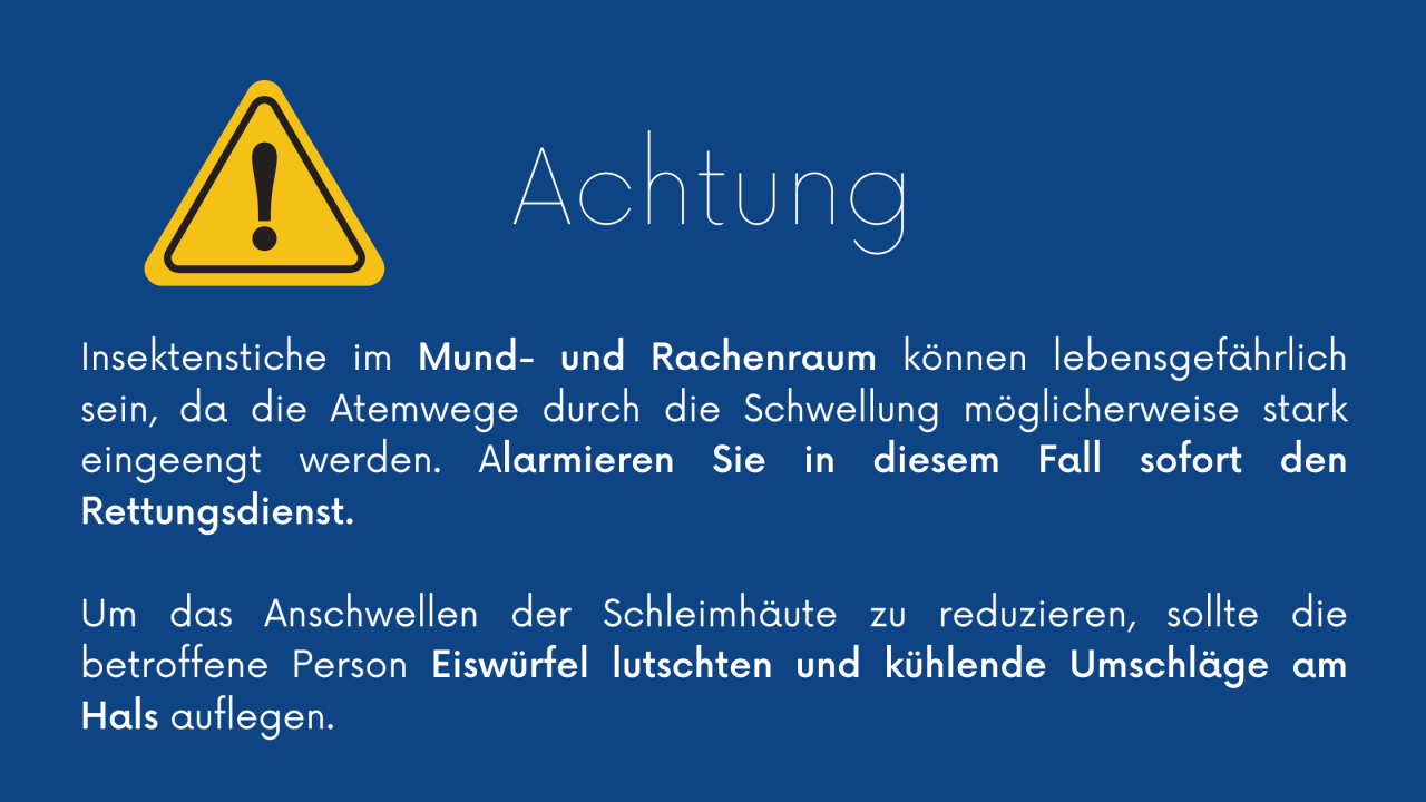 B2ap3 Large KW37 Achtung